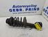 Suspension Strut RENAULT TWINGO I (C06_)