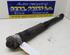 Shock Absorber VW Golf VII Variant (BA5, BV5)