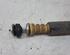 Shock Absorber SUZUKI SWIFT III (MZ, EZ)