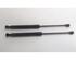 Gas Spring Engine Hood RENAULT KANGOO Express (FW0/1_), RENAULT KANGOO / GRAND KANGOO (KW0/1_)