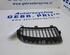 Radiator Grille BMW 3 (E90)