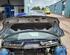 Bonnet PEUGEOT 107 (PM_, PN_)