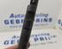 Injector Nozzle RENAULT Clio III (BR0/1, CR0/1)