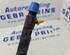 Injector Nozzle RENAULT Clio III (BR0/1, CR0/1)