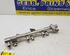 Petrol Fuel Rail MERCEDES-BENZ B-Klasse (W247)