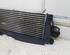 Intercooler RENAULT Trafic II Kasten (FL)