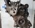 Bare Engine RENAULT TWINGO III (BCM_, BCA_)