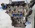 Motor kaal RENAULT TWINGO III (BCM_, BCA_)