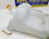 Washer Fluid Tank (Bottle) RENAULT MEGANE III Grandtour (KZ0/1)