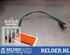 Lambda Sensor / NOx Sensor MAZDA 2 (DL, DJ)