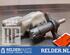 Brake Master Cylinder TOYOTA C-HR (_X1_)