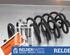 Coil Spring NISSAN QASHQAI II SUV (J11, J11_)