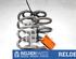 Coil Spring NISSAN LEAF (ZE1), NISSAN LEAF (ZE0)