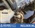 Power steering pump TOYOTA STARLET (_P9_)