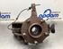 Stub Axle FORD C-MAX (DM2), FORD FOCUS C-MAX (DM2), FORD KUGA I, FORD KUGA II (DM2)