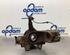 Stub Axle FORD C-MAX (DM2), FORD FOCUS C-MAX (DM2), FORD KUGA I, FORD KUGA II (DM2)