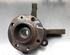 Stub Axle RENAULT TWINGO I (C06_)