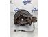 Stub Axle RENAULT KADJAR (HA_, HL_)