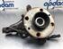 Stub Axle RENAULT TWINGO II (CN0_)