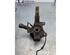 Stub Axle RENAULT CLIO III Grandtour (KR0/1_), RENAULT CLIO IV Grandtour (KH_)