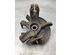 Stub Axle SEAT IBIZA IV ST (6J8, 6P8)