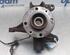 Stub Axle RENAULT MEGANE II (BM0/1_, CM0/1_), RENAULT MEGANE II Saloon (LM0/1_)