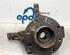 Stub Axle RENAULT CLIO III (BR0/1, CR0/1), RENAULT CLIO IV (BH_), RENAULT CLIO II (BB_, CB_)