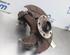 Stub Axle VW GOLF PLUS (5M1, 521), VW GOLF PLUS Van (521)