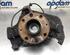 Stub Axle OPEL CORSA D (S07)