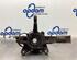 Stub Axle RENAULT KANGOO / GRAND KANGOO (KW0/1_)