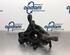 Stub Axle FIAT BRAVO II (198_)