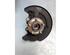 Stub Axle FORD C-MAX II (DXA/CB7, DXA/CEU), FORD GRAND C-MAX (DXA/CB7, DXA/CEU), FIAT LINEA (323_, 110_)