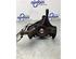 Stub Axle FIAT PANDA (169_), FIAT PANDA Hatchback Van (169_)