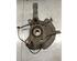 Stub Axle SUZUKI SWIFT V (AZ)