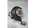 Stub Axle KIA NIRO I (DE)