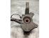 Stub Axle RENAULT MEGANE III Hatchback (BZ0/1_, B3_)