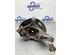 Stub Axle TOYOTA PRIUS (_W3_)