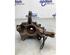 Stub Axle RENAULT MEGANE III Grandtour (KZ0/1)