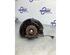 Stub Axle RENAULT SCÉNIC IV (J9_), RENAULT GRAND SCÉNIC IV (R9_)