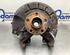 Stub Axle AUDI A2 (8Z0)