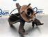 Stub Axle FORD FOCUS Turnier (DNW)