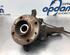 Stub Axle RENAULT KANGOO (KC0/1_)