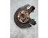 Stub Axle VW POLO (6R1, 6C1), VW POLO Van (6R)