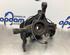 Stub Axle FIAT FIORINO Box Body/MPV (225_), FIAT QUBO (225_), FIAT FIORINO MPV (225_)