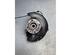 Stub Axle RENAULT CLIO V (B7_)