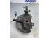 Stub Axle RENAULT CLIO V (B7_)