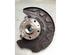 Stub Axle VW GOLF VIII (CD1)