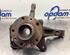 Stub Axle RENAULT KANGOO / GRAND KANGOO (KW0/1_)