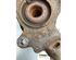 Stub Axle FORD FOCUS II (DA_, HCP, DP)