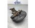 Stub Axle VW GOLF VII (5G1, BQ1, BE1, BE2), VW GOLF VII Variant (BA5, BV5), VW GOLF VIII Variant (CG5)